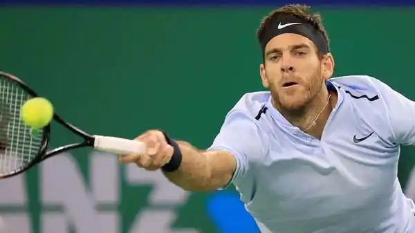 Del Potro aplastó a Grigor Dimitrov y se consagró campeón del ATP