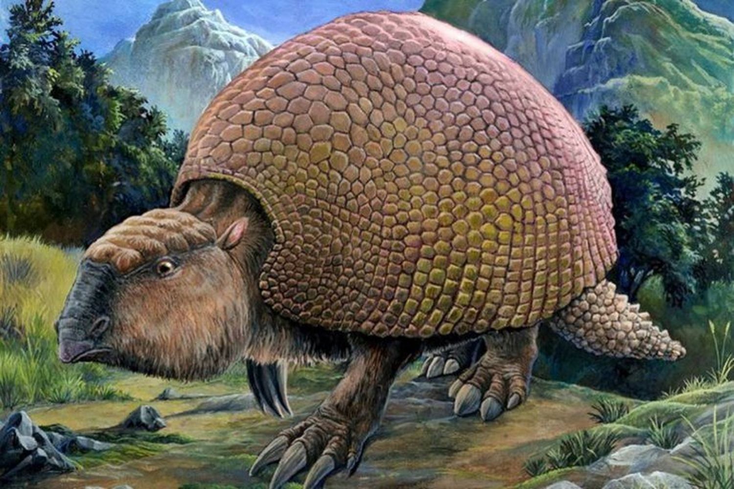 Descubren restos de animal que habitó Entre Ríos hace 8 mil años