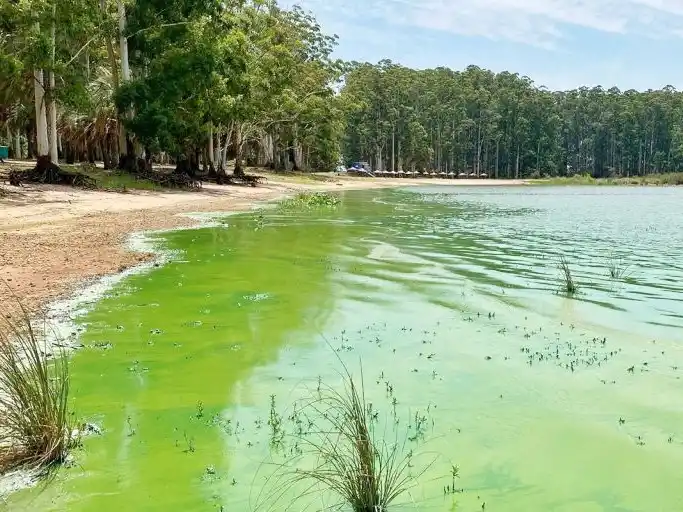 La provincia recomienda evitar el contacto con el agua con verdín