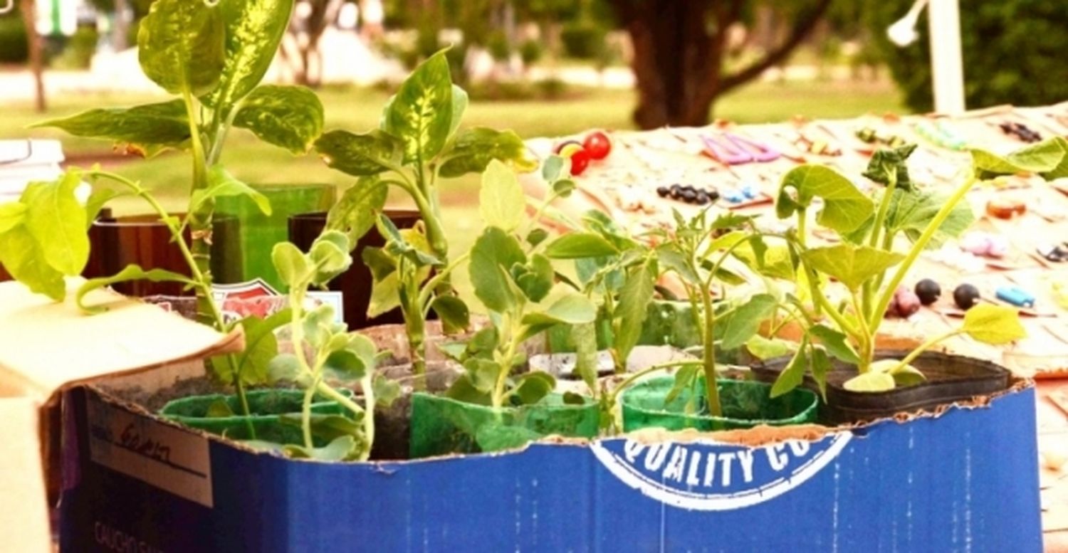 Feria Verde en la plaza de Salliqueló 