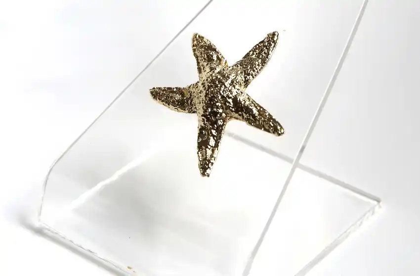 Premios Estrella de Mar: aclararon las versiones sobre la conducción