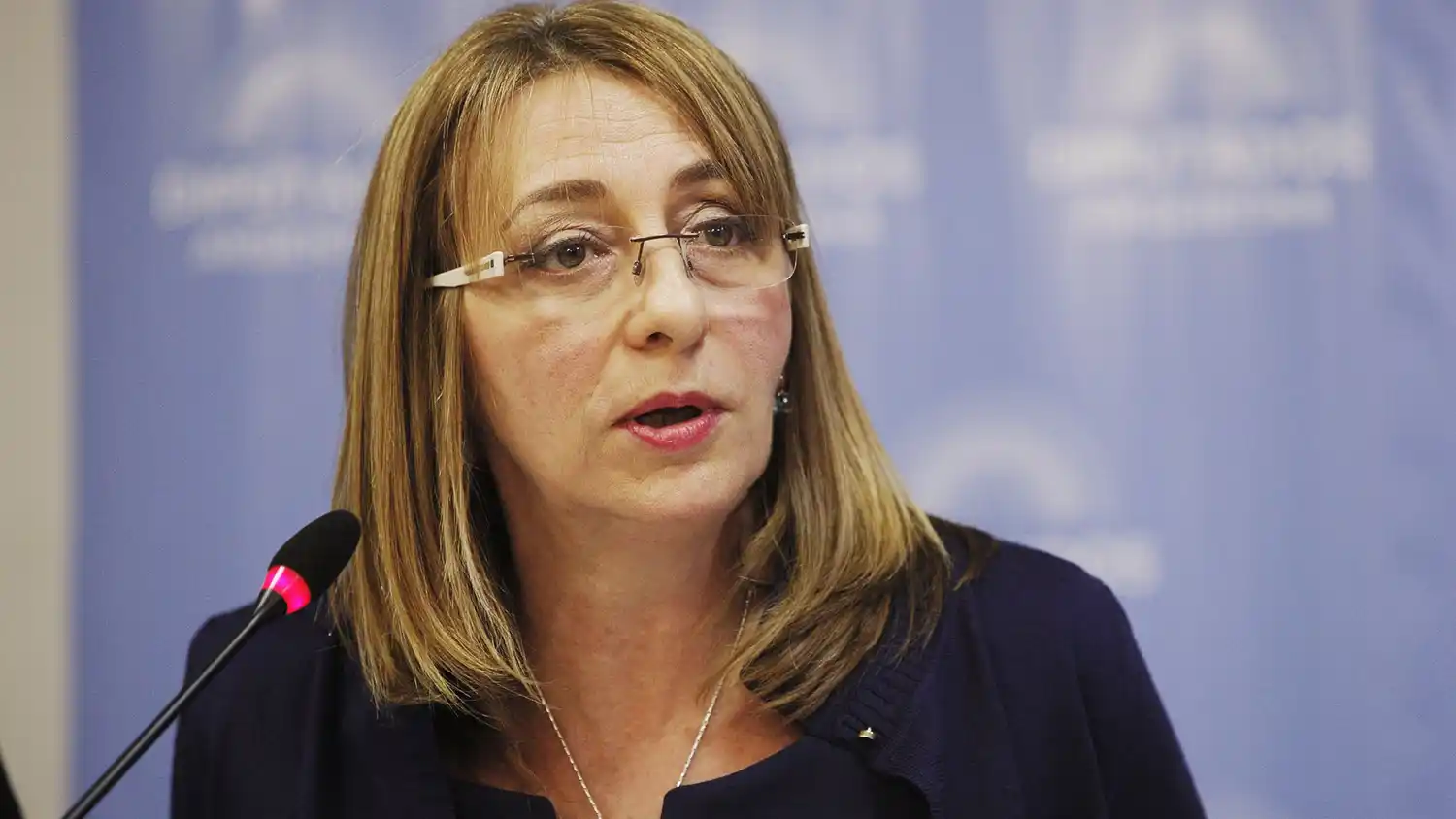 Gils Carbó llega hoy a Gualeguaychú: dará una charla sobre justicia y equidad de género