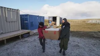Malvinas: ya se analizó la mitad de las muestras extraídas de 123 tumbas