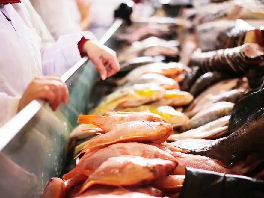 En 2024, 21 de 22 economías regionales argentinas aumentaron sus exportaciones