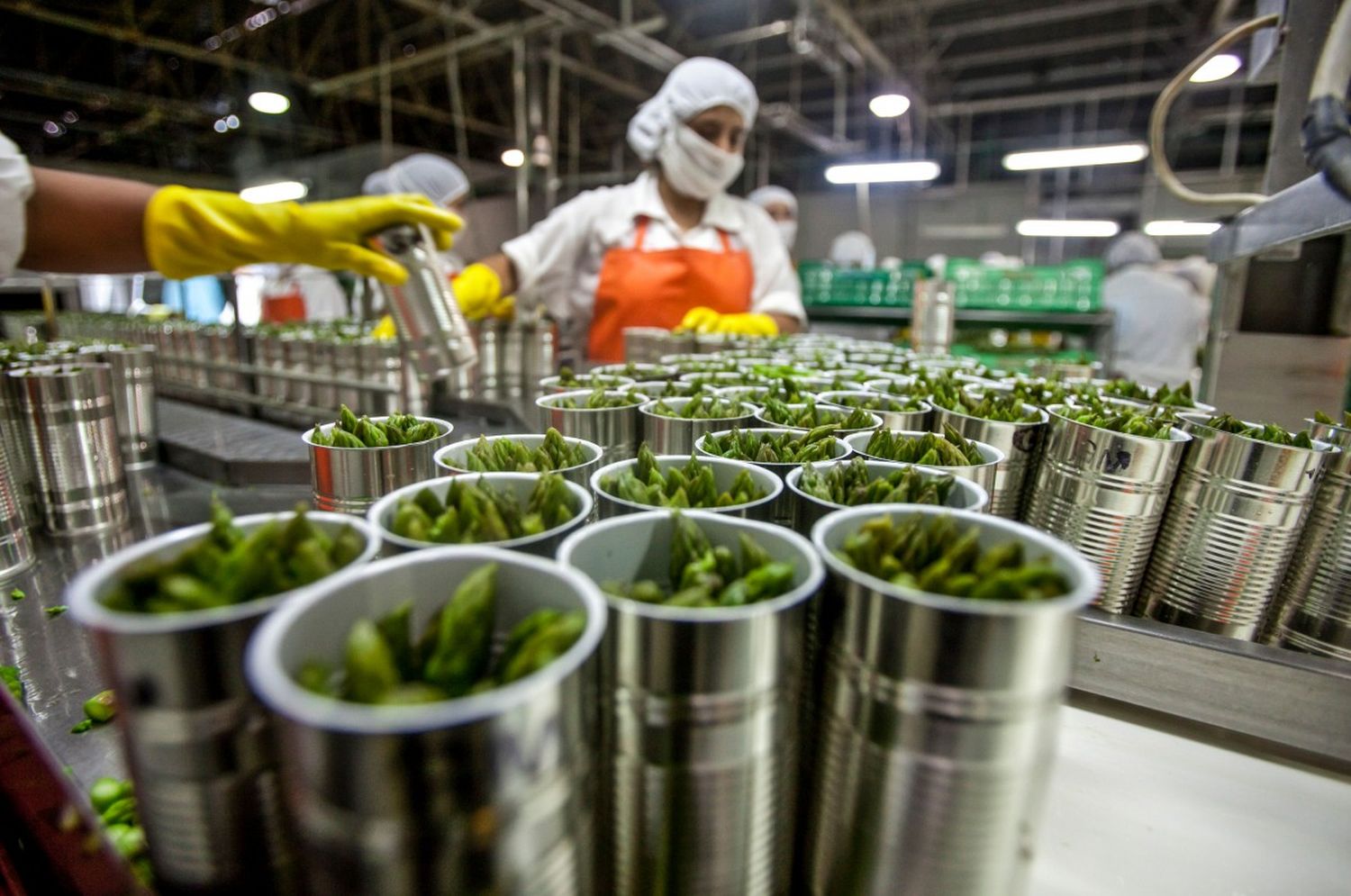 Saladillo: Lanzan AgroEmprende, un concurso de ideas de negocios