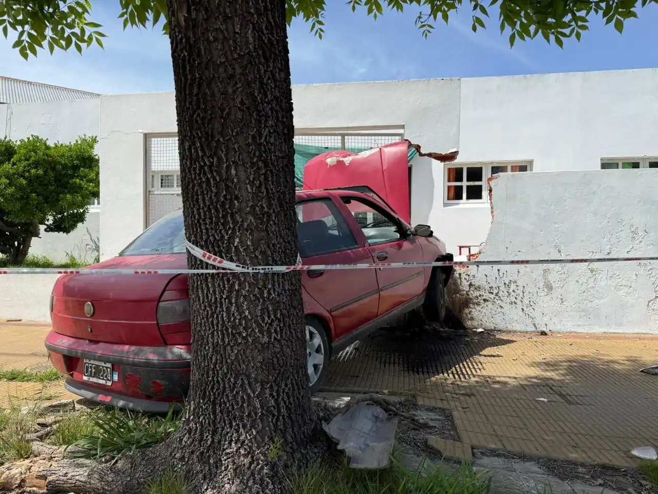 choque Jardín 917