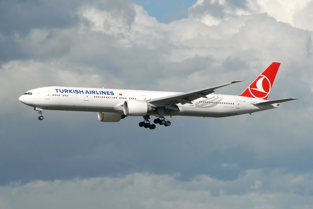 Más de 48 mil mascotas volaron por Turkish Airlines en 2016