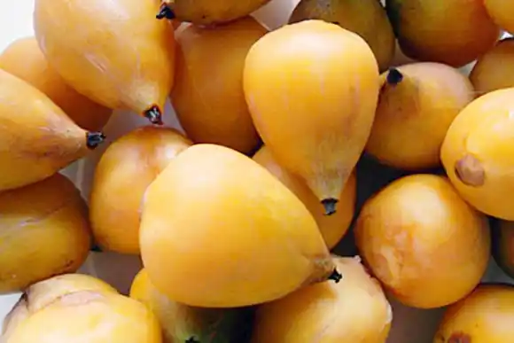 El Yatay fue oficialmente incorporado al Código Alimentario Argentino