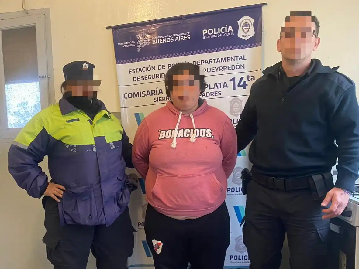 La conductora fue imputada por "encubrimiento".