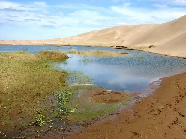 Buscan convertir en ley la protección de los humedales