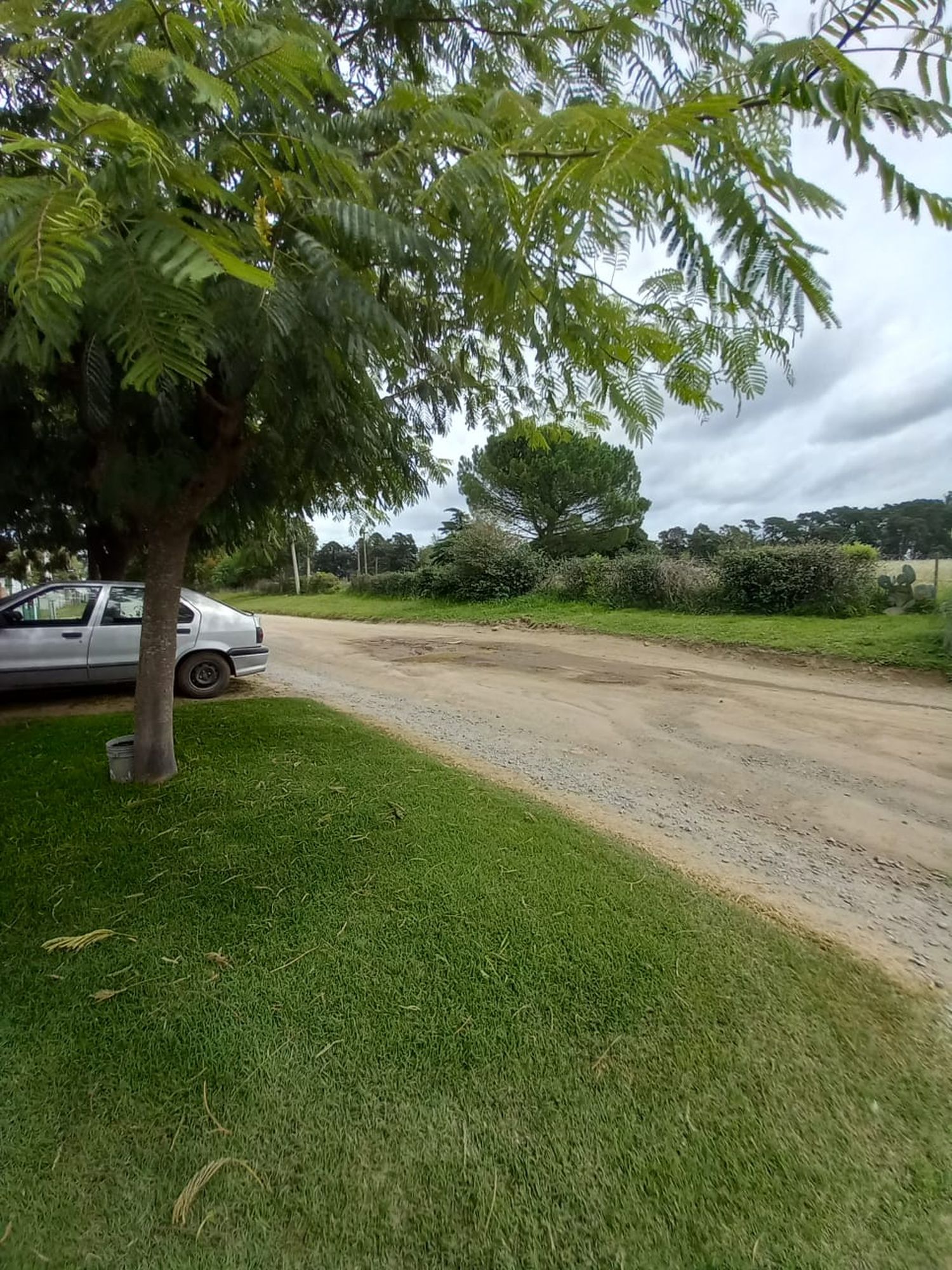 Vecinos de De Pietri al 1100 reclaman por el estado de la calle y advierten por los accidentes