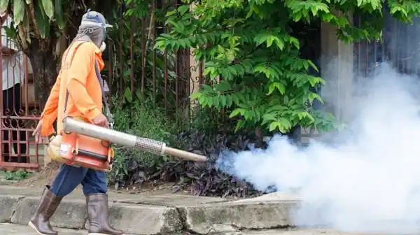Detectan un nuevo foco de zika en EEUU: hay dos infectados en Miami Beach