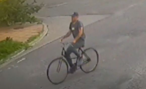 Bicichorro al acecho: esperó que pasara un joven para robarle el celular