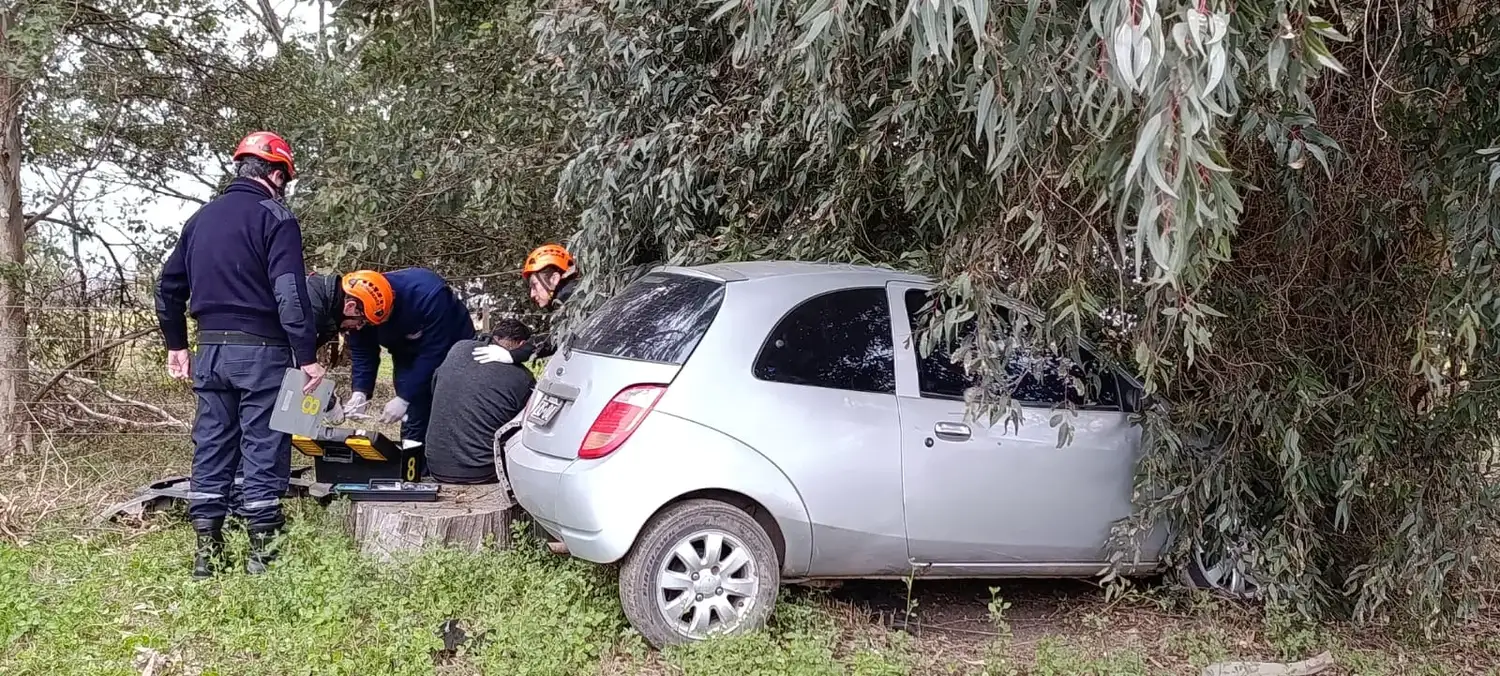 El conductor perdió el control del vehículo y chocó contra un árbol en Cavanagh y Alsina. Foto: BVVT