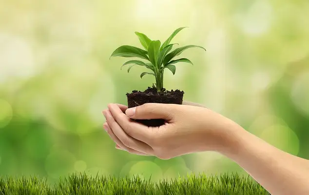 Segundas Jornadas de Medio Ambiente y Desarrollo Sustentable