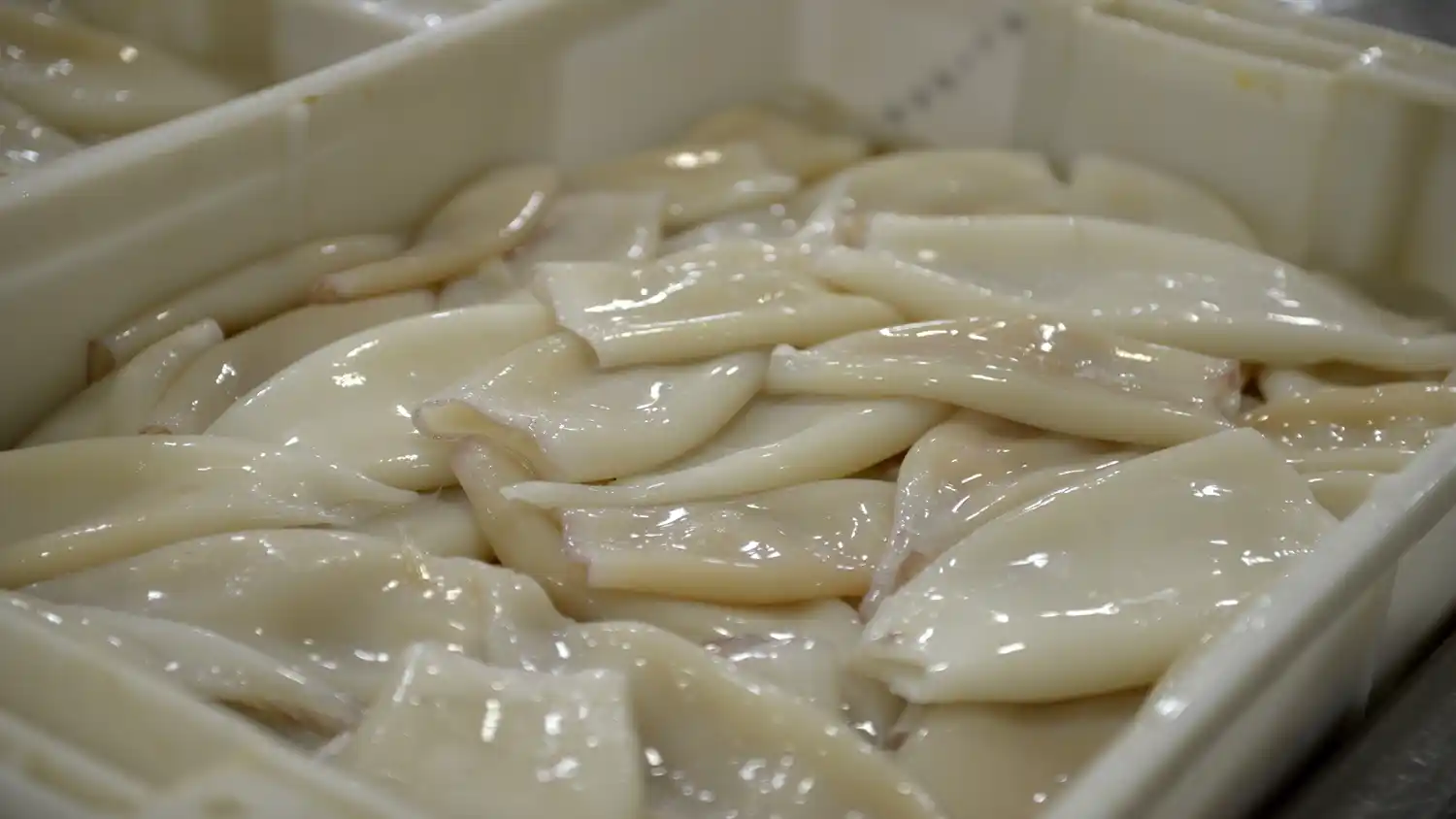 La medida busca optimizar la protección de los recursos marinos frente a la Pesca Ilegal, No Declarada y No Reglamentada.