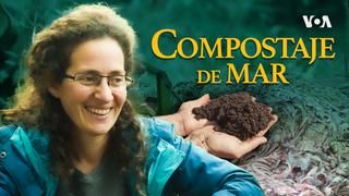 Compostaje de mar