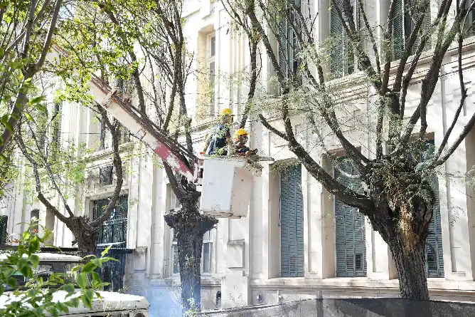 Operativo de limpieza en la manzana de la Escuela Primaria N°1 mientras avanza el proceso para su restauración