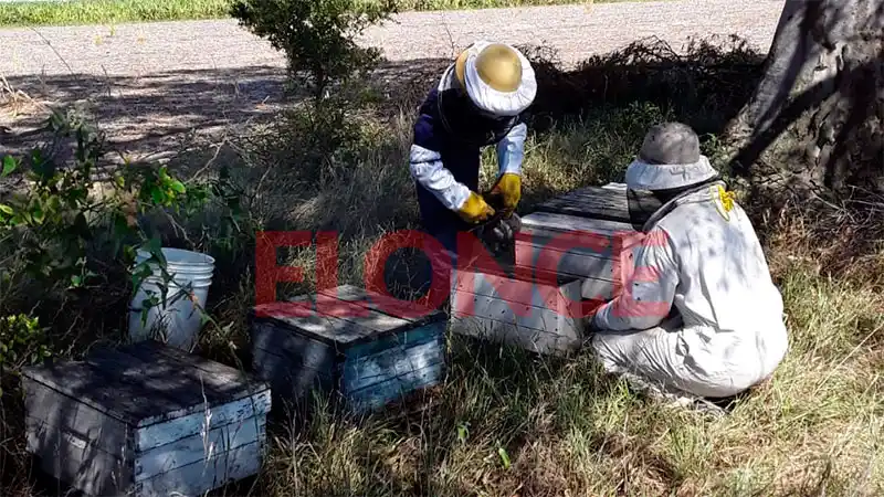 gualterio nene molino - 2