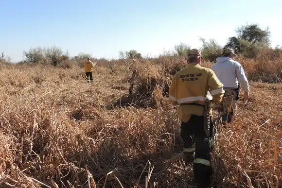 La Secretaría de Ambiente admite solicitudes para concretar quemas controladas