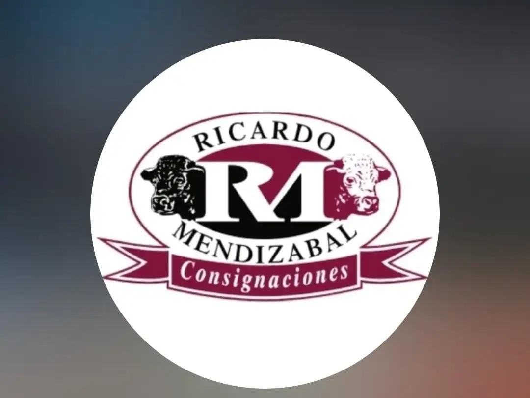 Ricardo Mendizabal Consignaciones y una gran acción solidaria