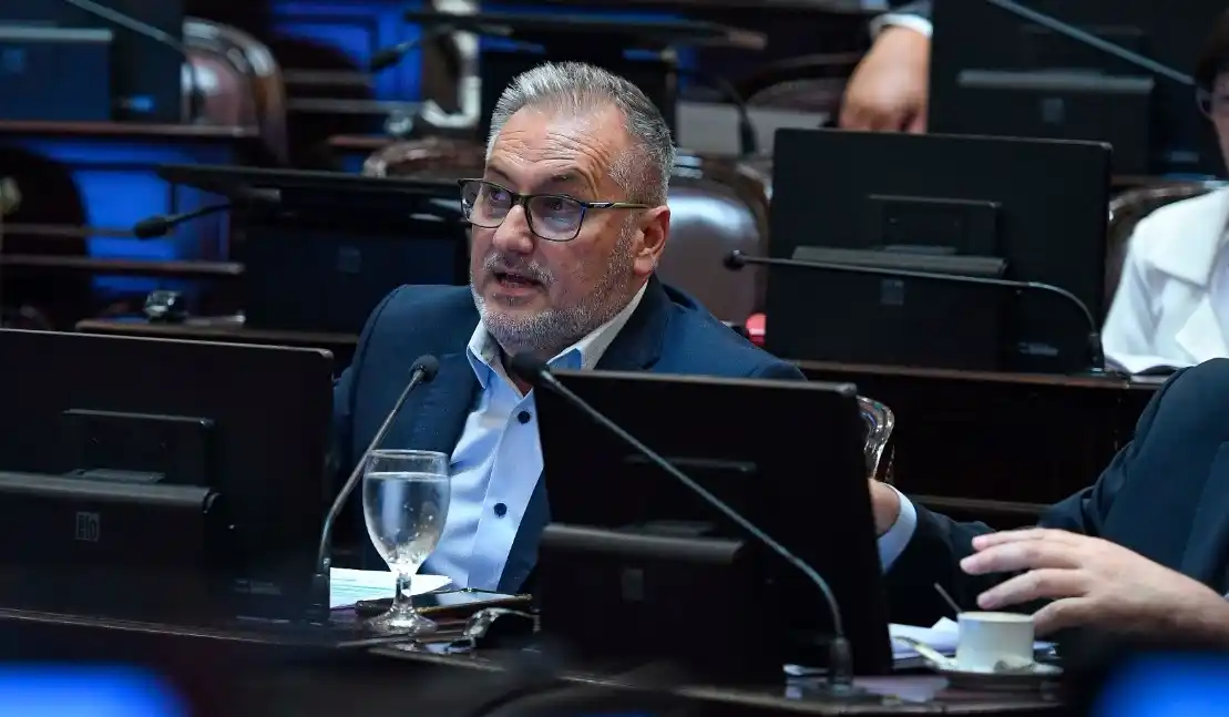 El senador afirmó que "le han quitado al Estado todas las potestades que tiene". Foto: Gentileza.