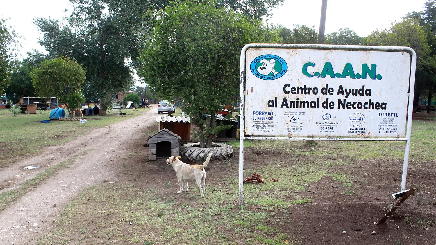Gran esfuerzo. Efectúa el CAAN para mantenerse en funciones