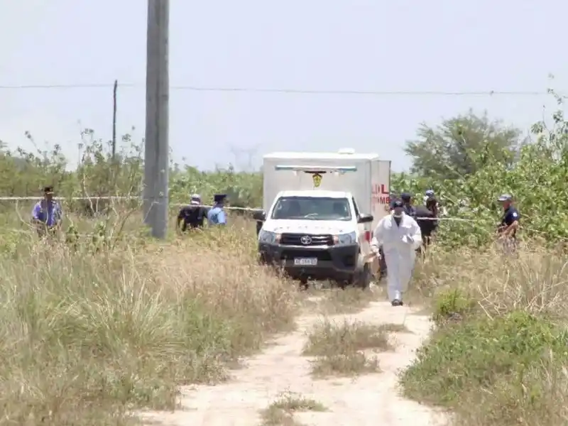 Hoy se realizará el remate ganadero en Las Lomitas