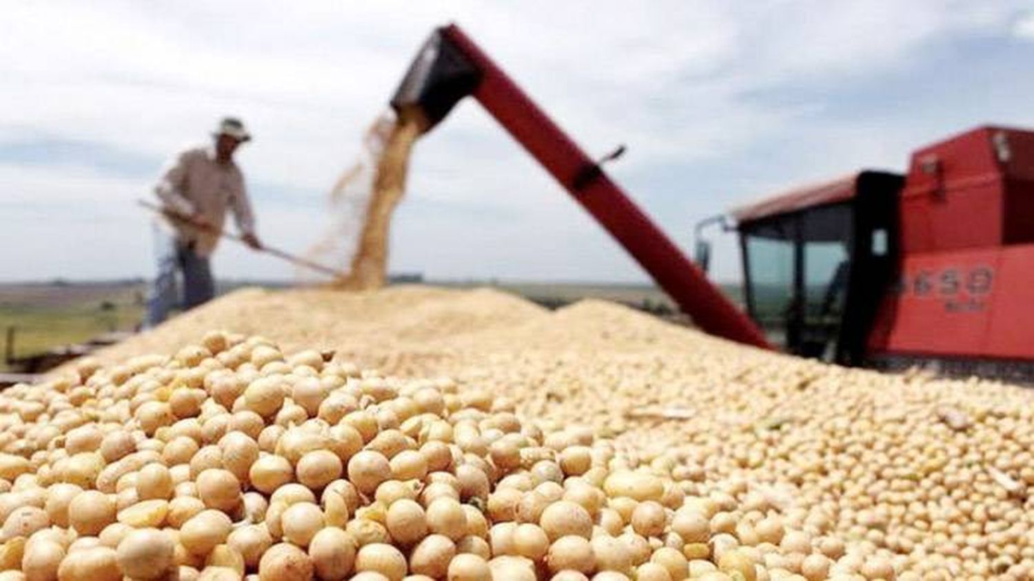 Récord agroexportador: US$19.145 millones en el primer semestre