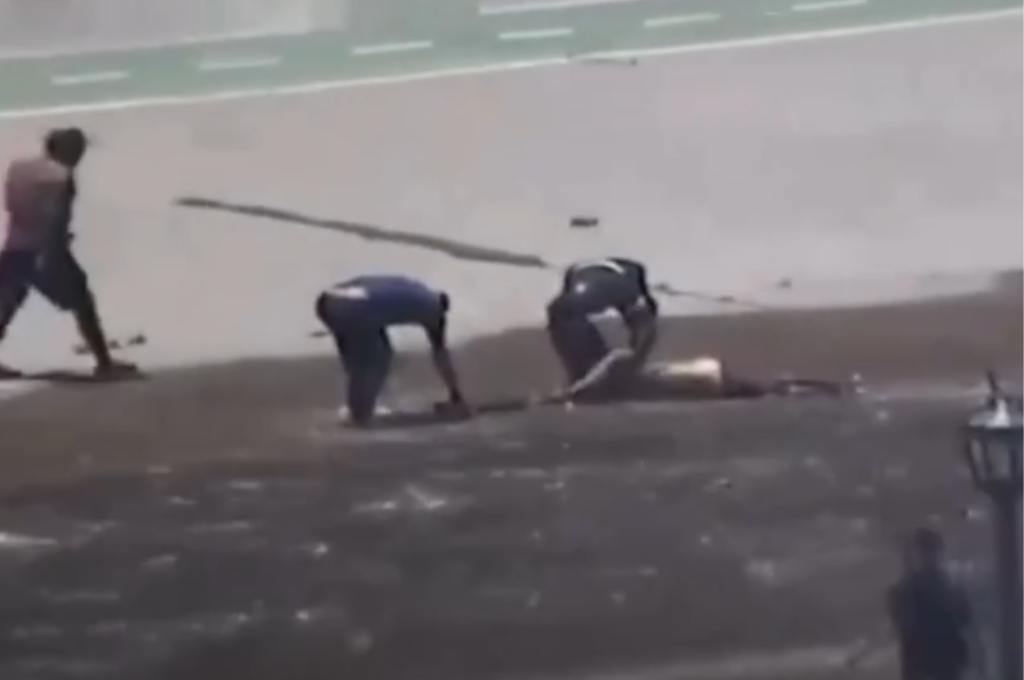 Captura de pantalla tomada del video