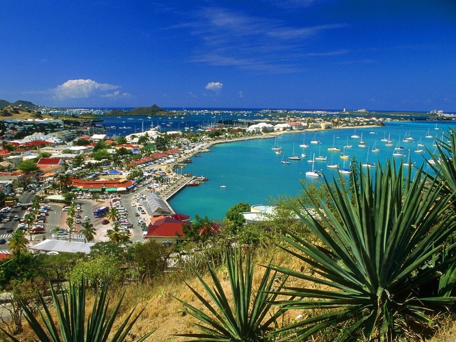 Una idílica isla en el Caribe