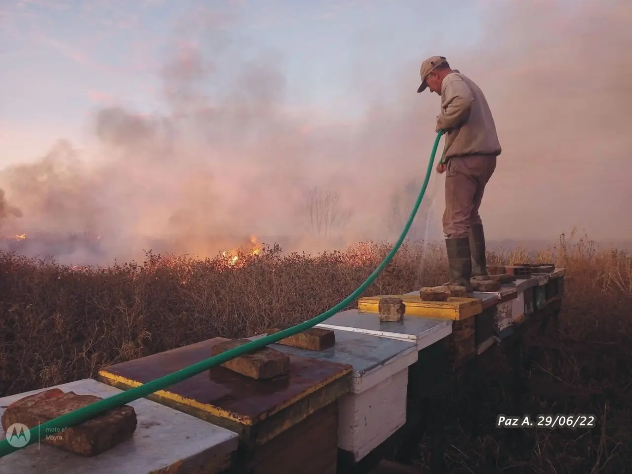 Incendios en el Delta del Paraná: Más de 430 focos activos entre fin de junio y principio de julio