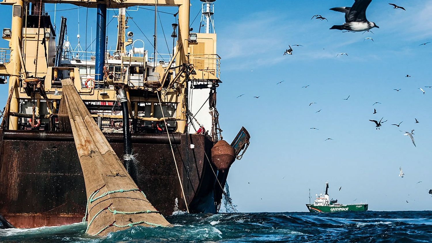 Pesca ilegal