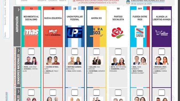 Qué se elige y cómo está el cuadro electoral en cada uno de los 24 distritos