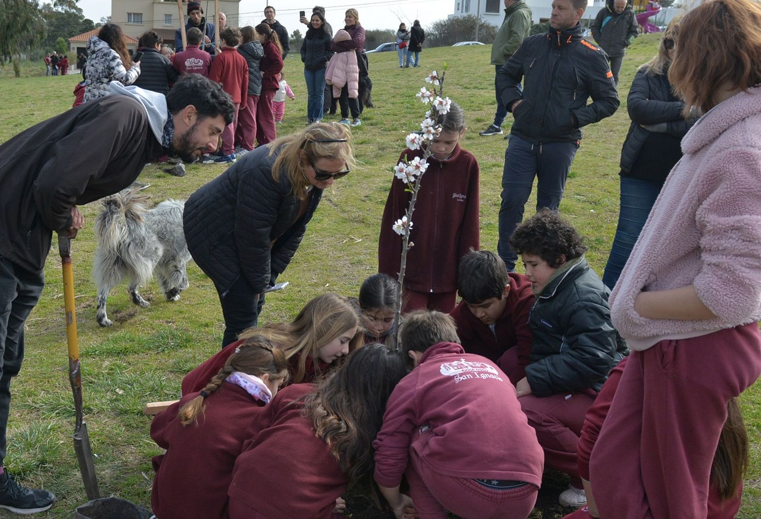 Plantacion Día del Arbol 2023 - 1