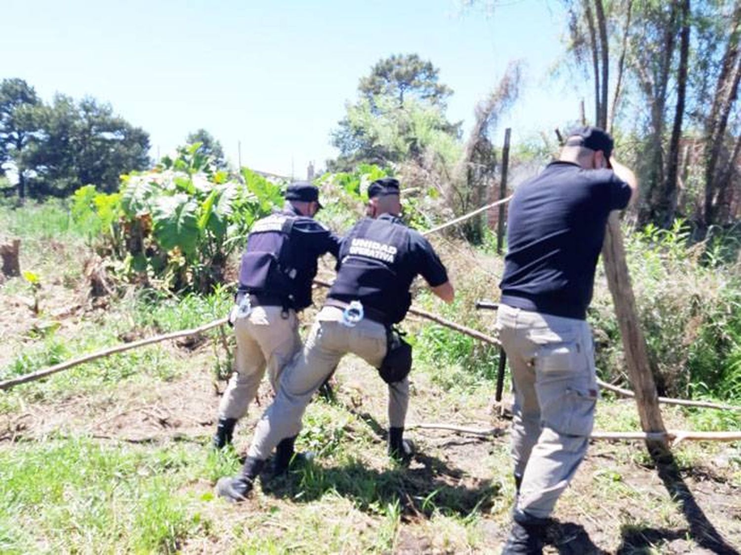 Impiden  usurpación de  terrenos