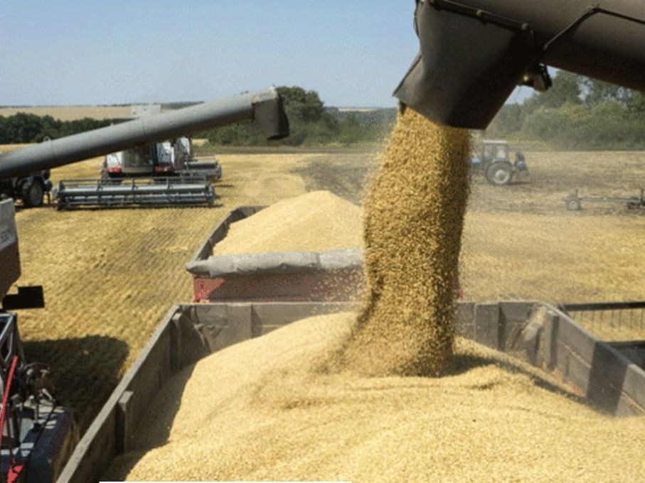 Trigo argentino alcanza embarques récord y nuevos destinos