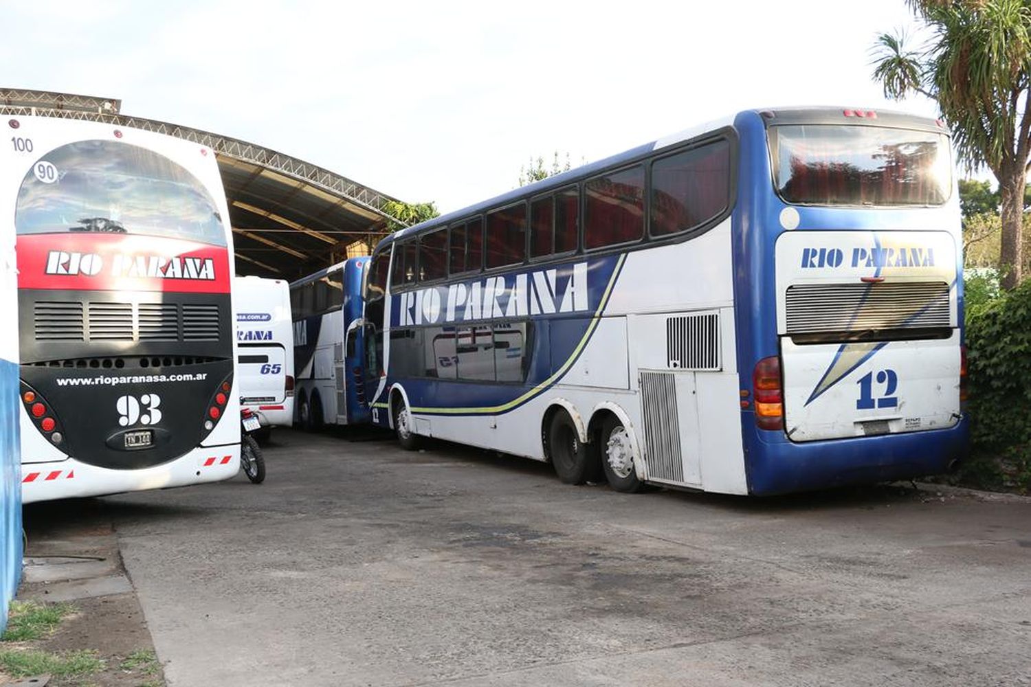 Expreso Tigre Iguazú se hará cargo de las rutas de Río Paraná a partir de este jueves