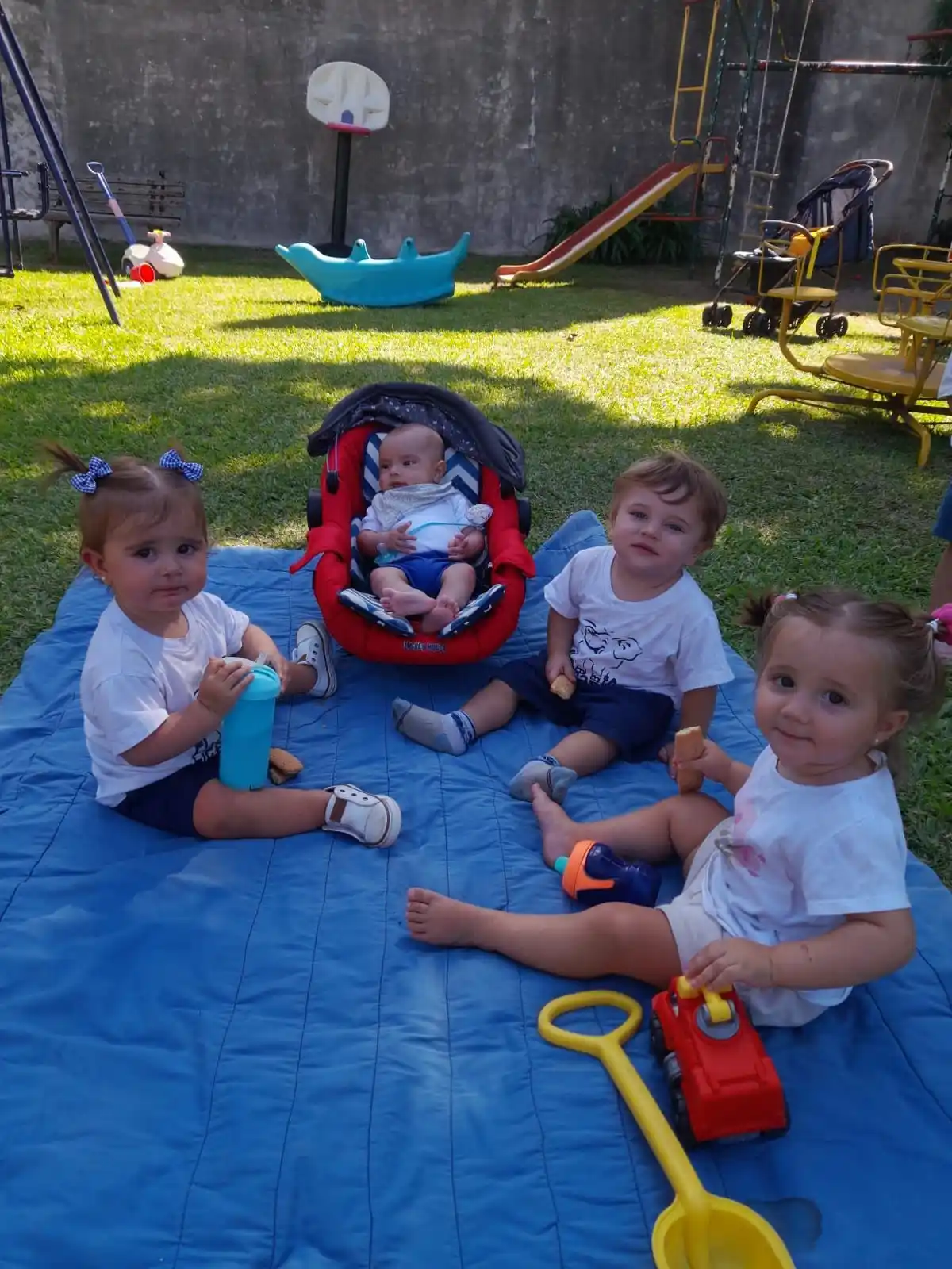 Jardín Del Elefante-.