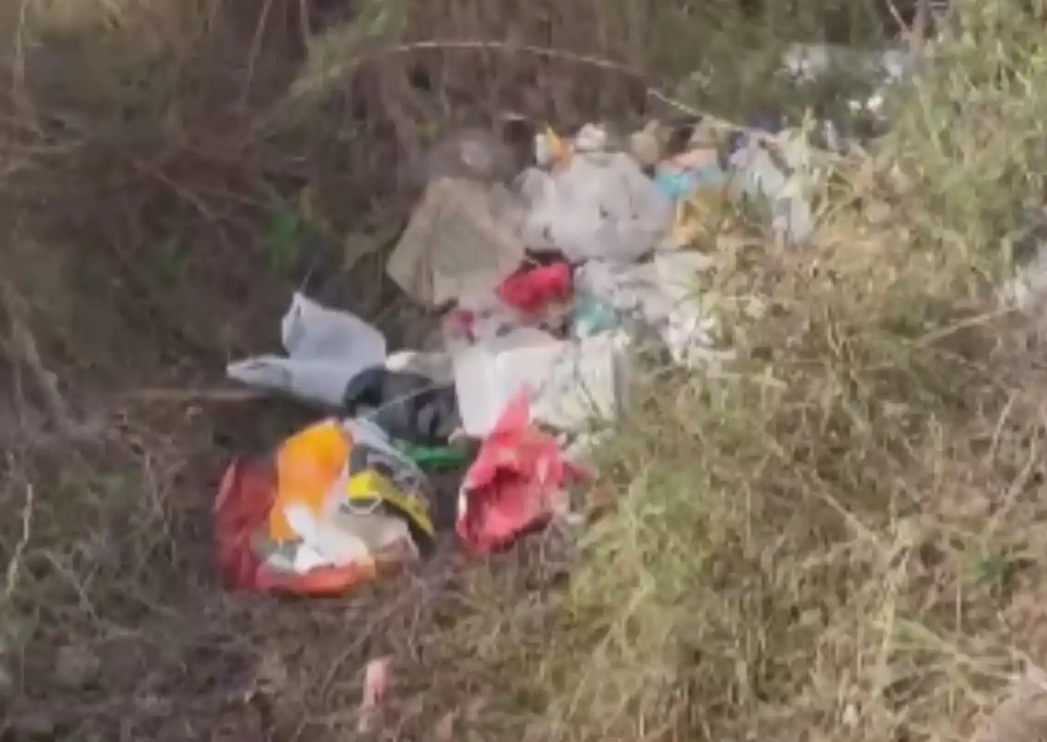 Basura tirada en un zanjón de calle Italia: "La gente debería ser menos ordinaria"