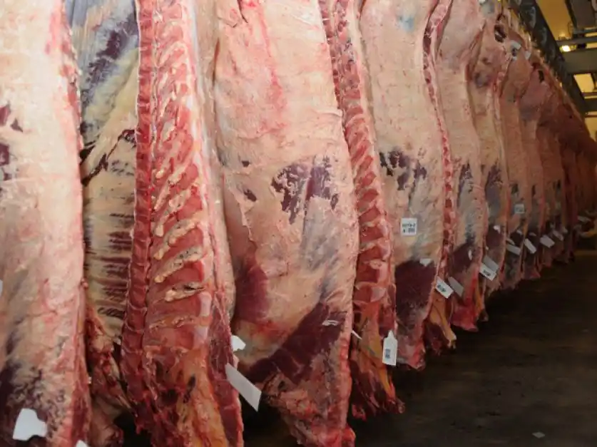 Exportar menos aceleraría la crisis económica