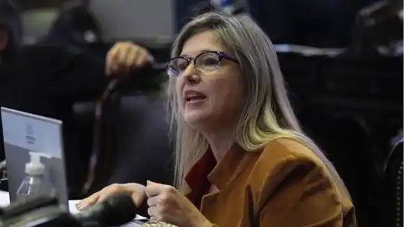 Cristina Álvarez Rodríguez lamentó la aprobación de la Ley Bases y dijo que el Paquete Fiscal "perjudica a la Provincia"