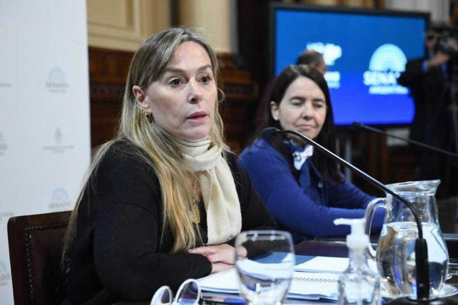 Senado: el kirchnerismo logró dictamen 
de la nueva moratoria para jubilados