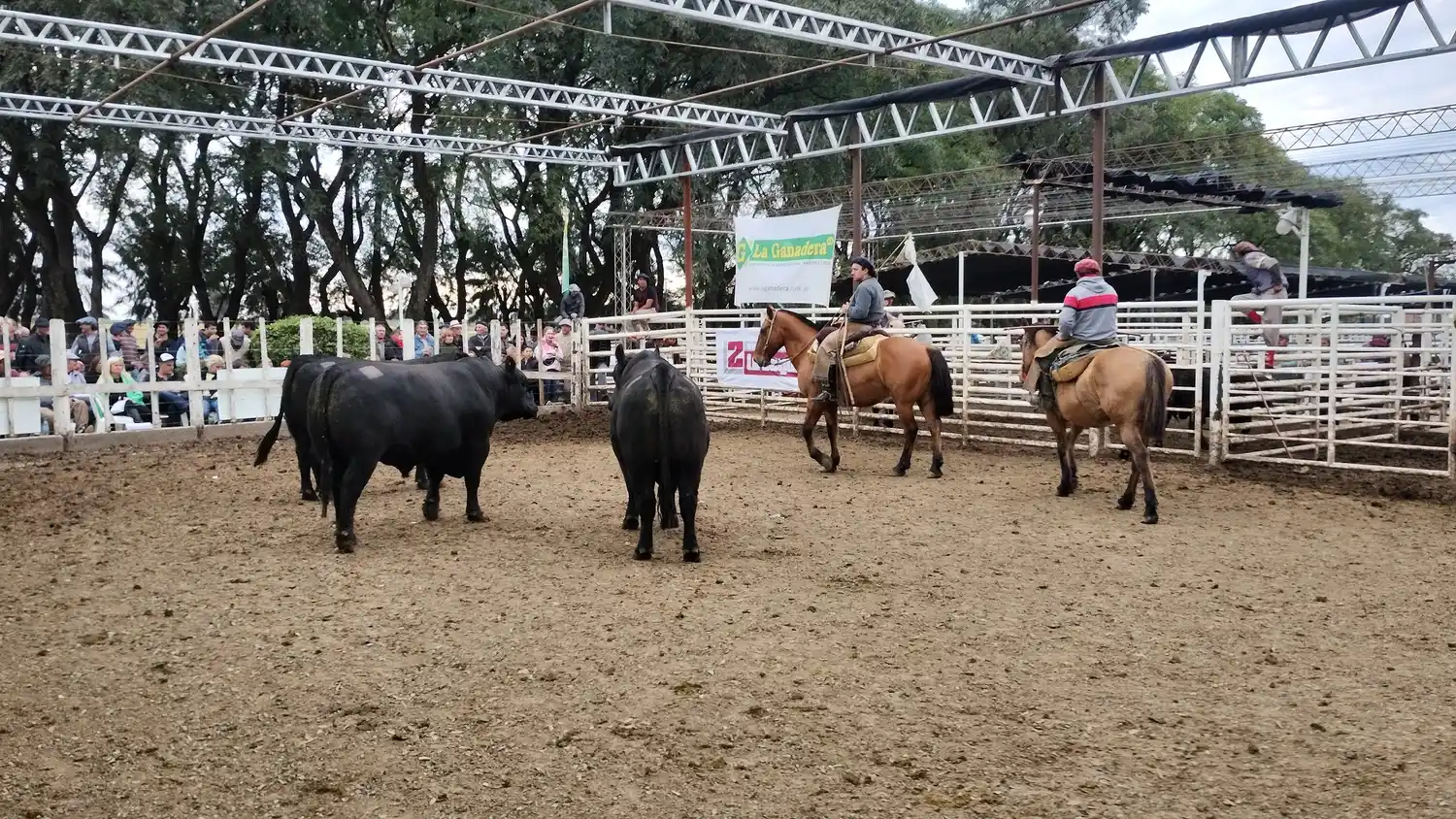 Cooperativa La Ganadera de General Ramírez Limitada