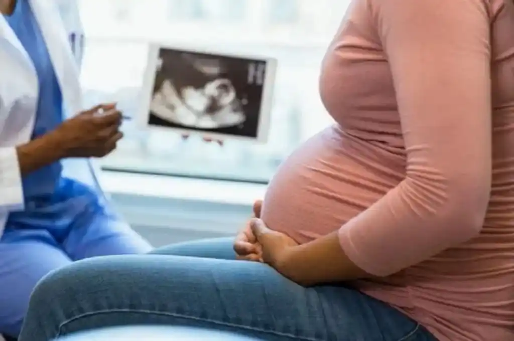 Río Negro y Neuquén: hallaron plaguicidas en placentas de mujeres embarazadss