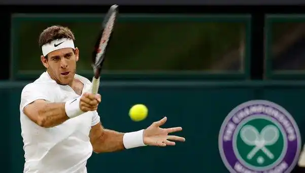 Del Potro y Pouille continuarán su partido el domingo por falta de luz