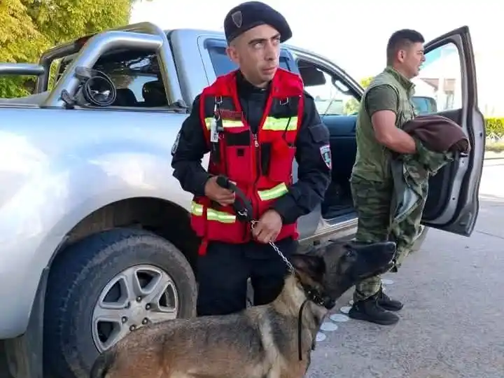 Tragedia en Bolívar: K9 Gualeguay participa en la búsqueda de personas