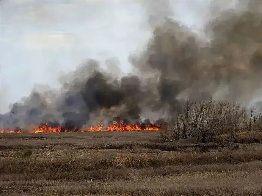 Condenaron a tres apicultores que generaron un incendio en la zona de islas de Victoria