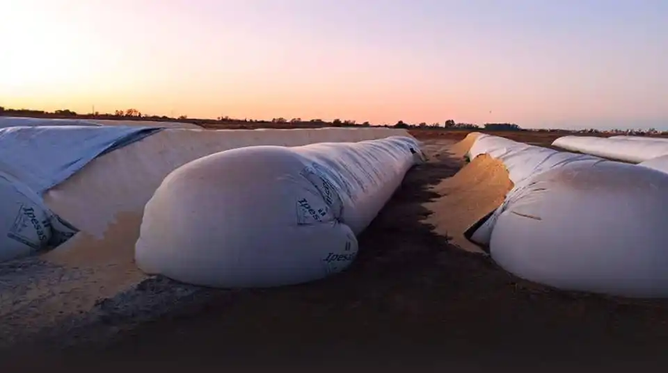 “Repudiamos los hechos de vandalismo en zonas rurales de nuestra provincia”