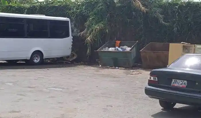 ¡PUROS PERROS DE RAZA! CICPC investiga muertes de nueve canes en Los Teques